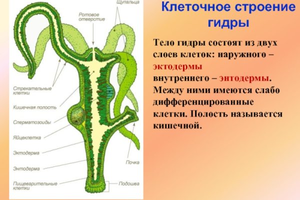 Как восстановить кракен