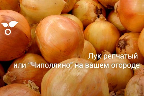 Кракен зеркало рабочее onion
