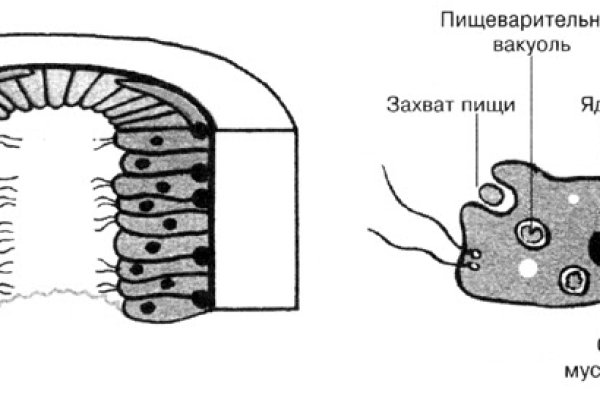 Кракен найдется все