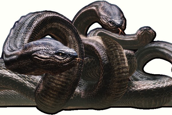 Kraken com darknet