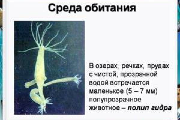 Кракен сайт ссылка kr2web in