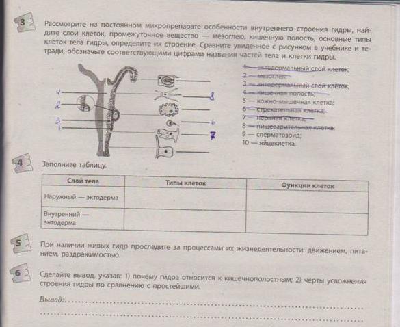 Кракен магазин даркнет